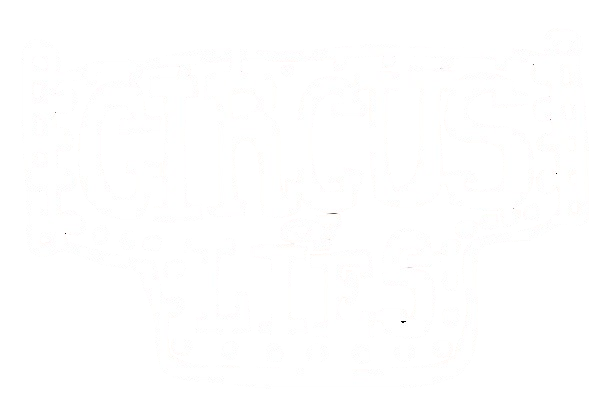 circusoflies.com